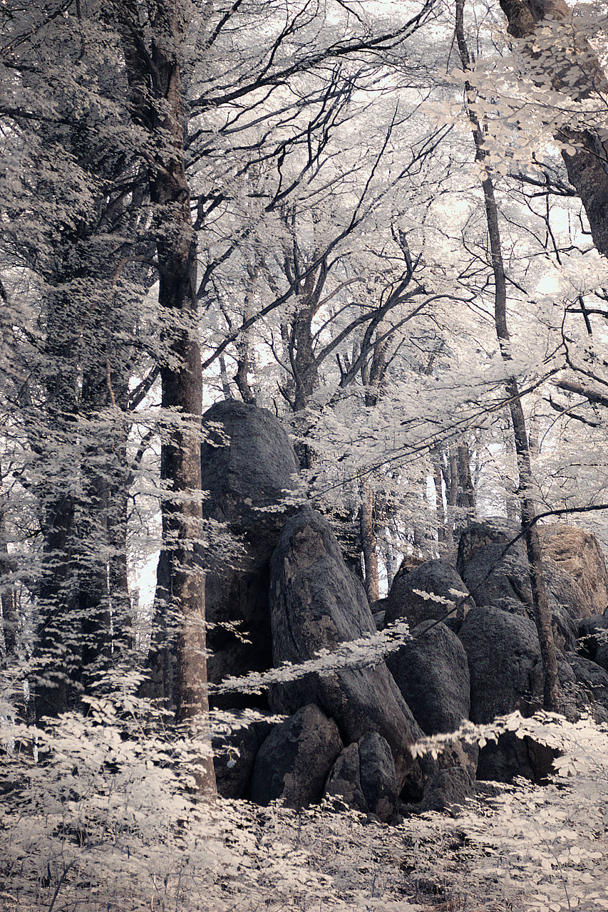 Soriano nel Cimino 2