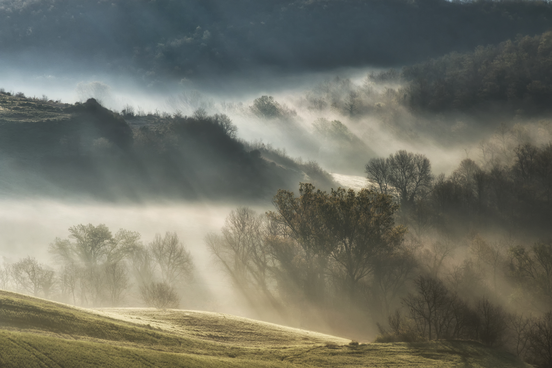 Val d'Orcia-la nebbia del mattino