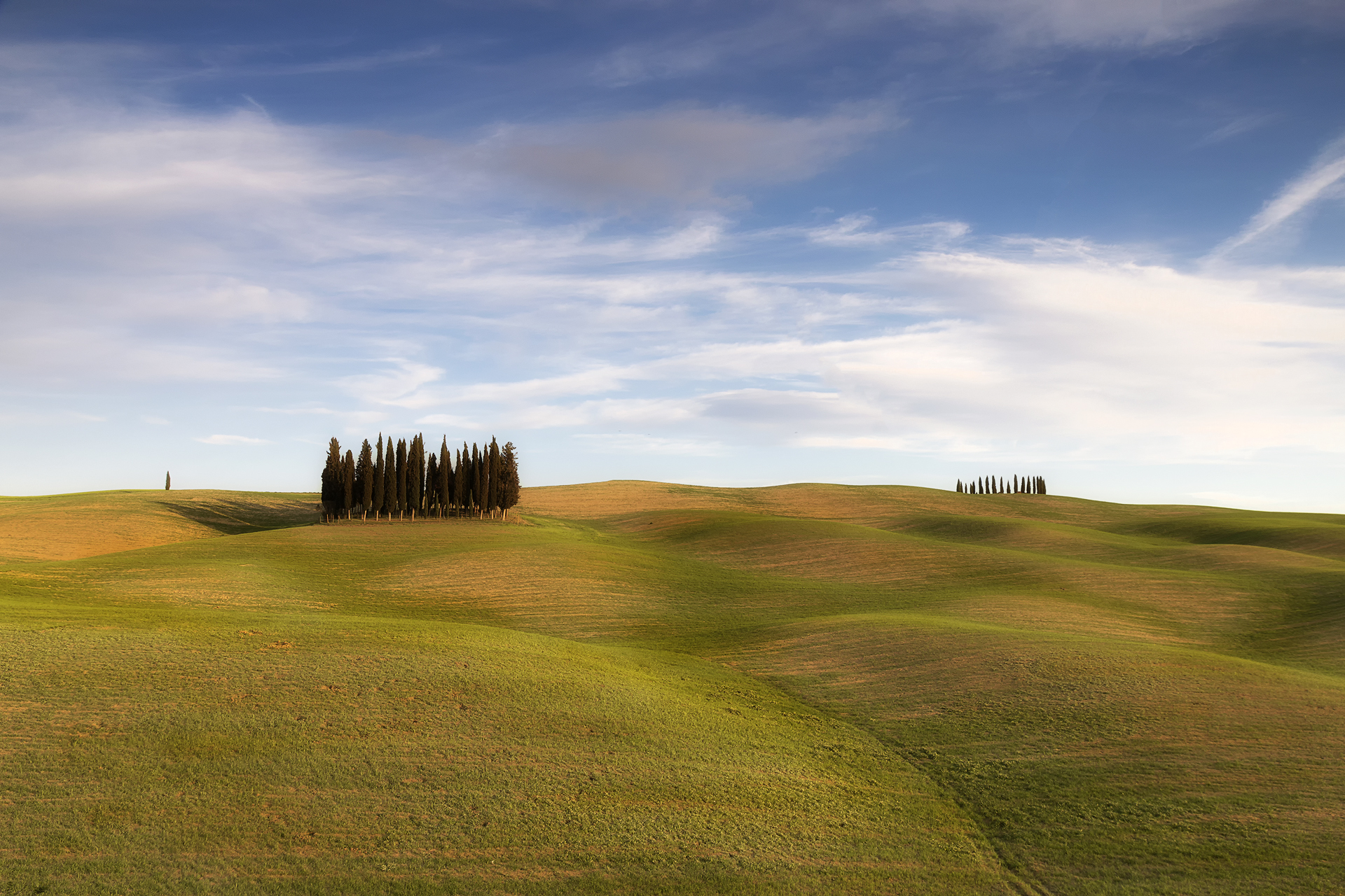 Val d'Orcia-sinuosità