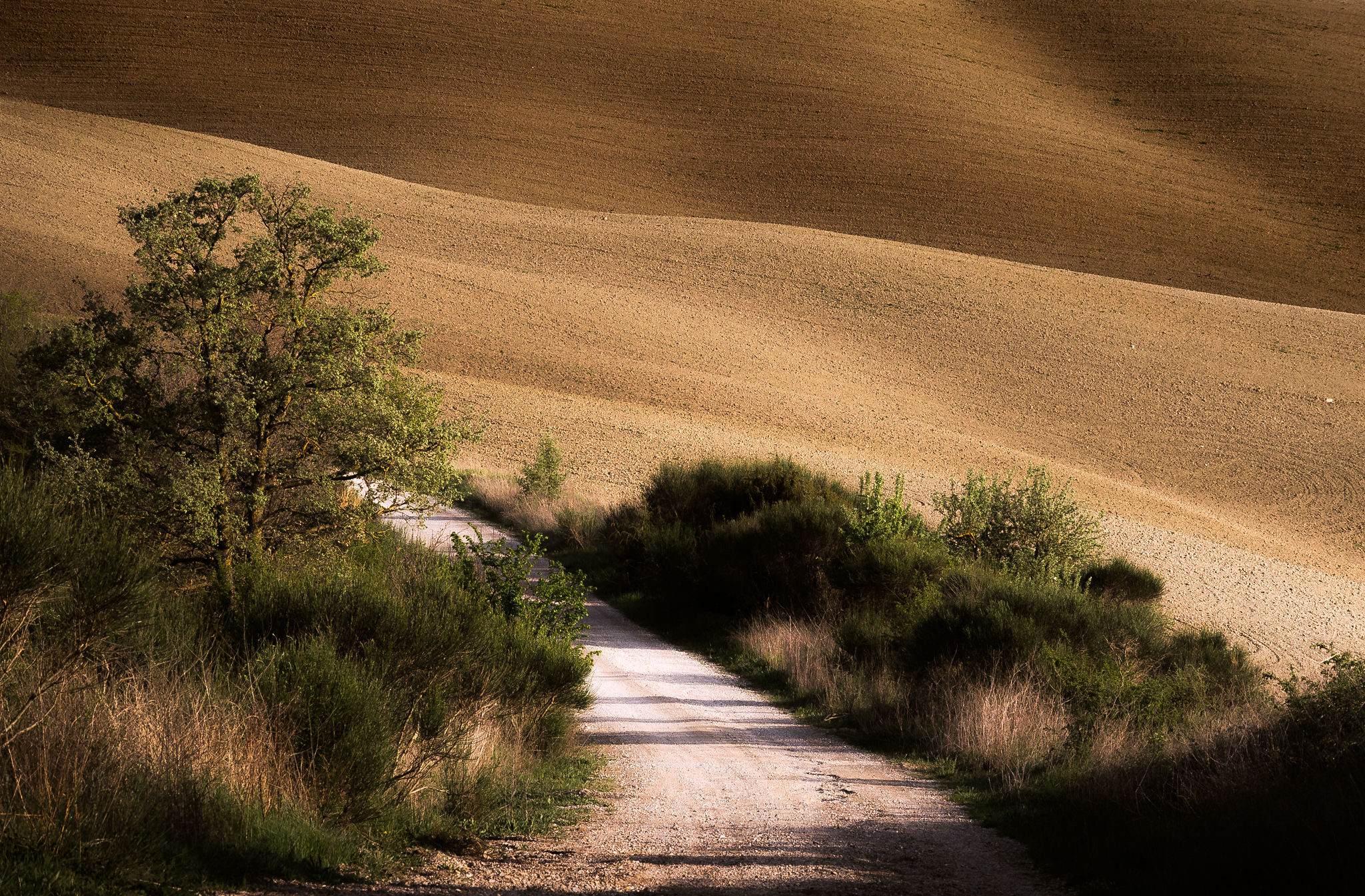 Getting lost in the Tuscan hills