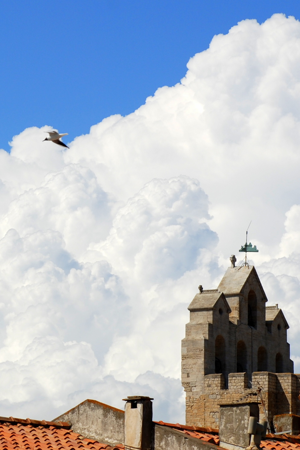 Provence - Saintes-Maries-de-la-Mer