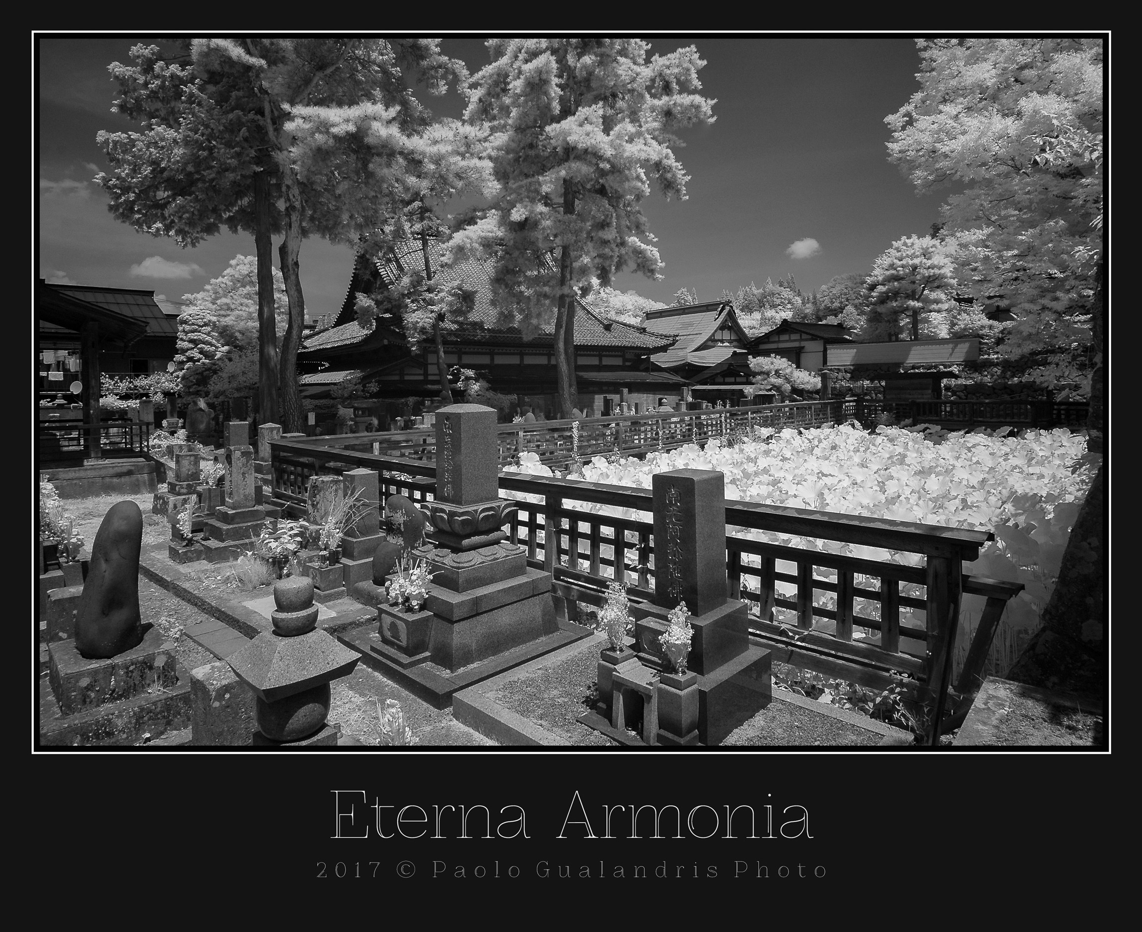 Eternal Harmony ir