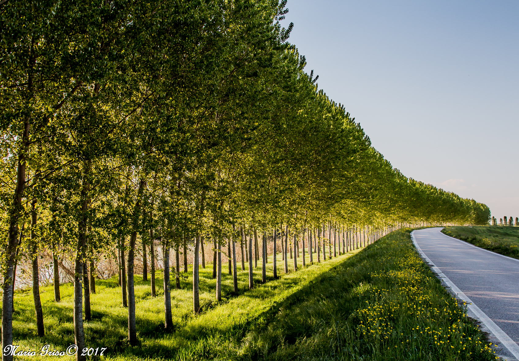 la bellezza degli umili