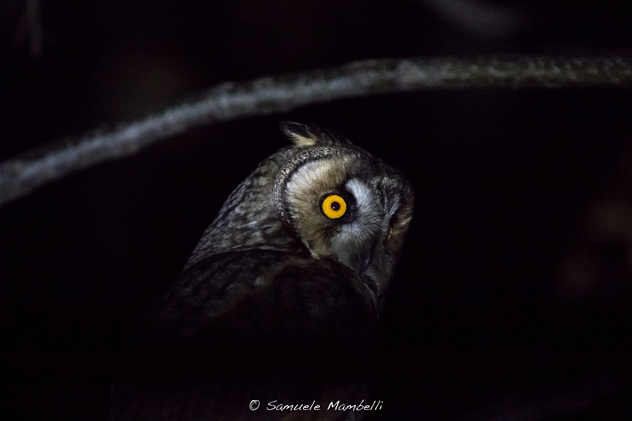 Nell'Oscurità mi osserve