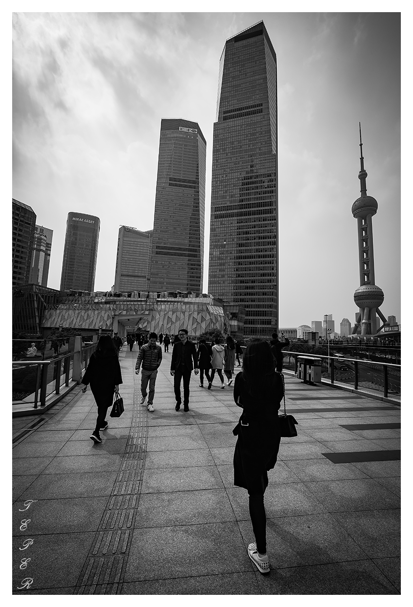 Terra del grattacielo