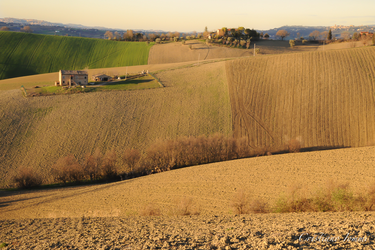 colline maceratesi