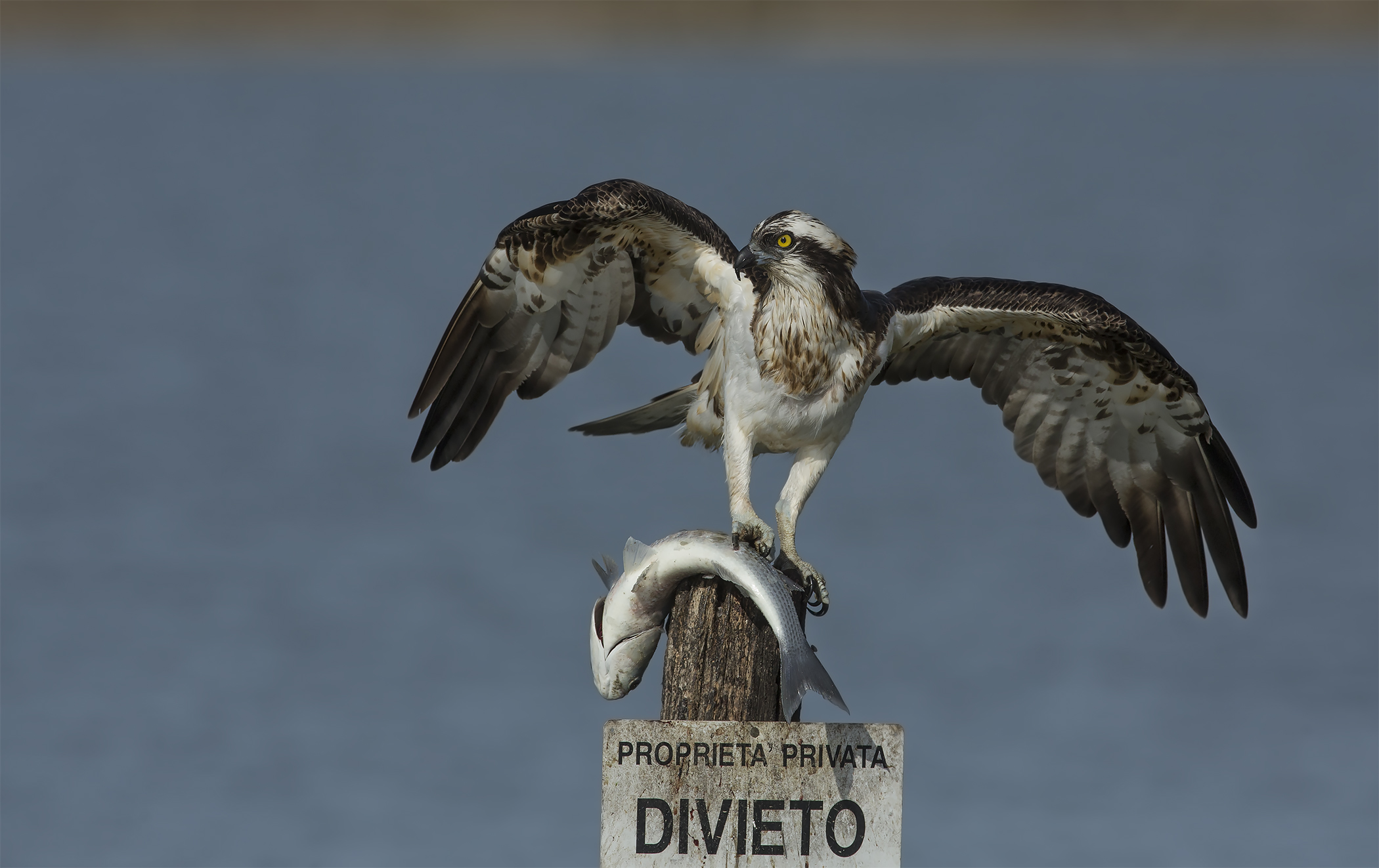 le ultime con la 5dIII