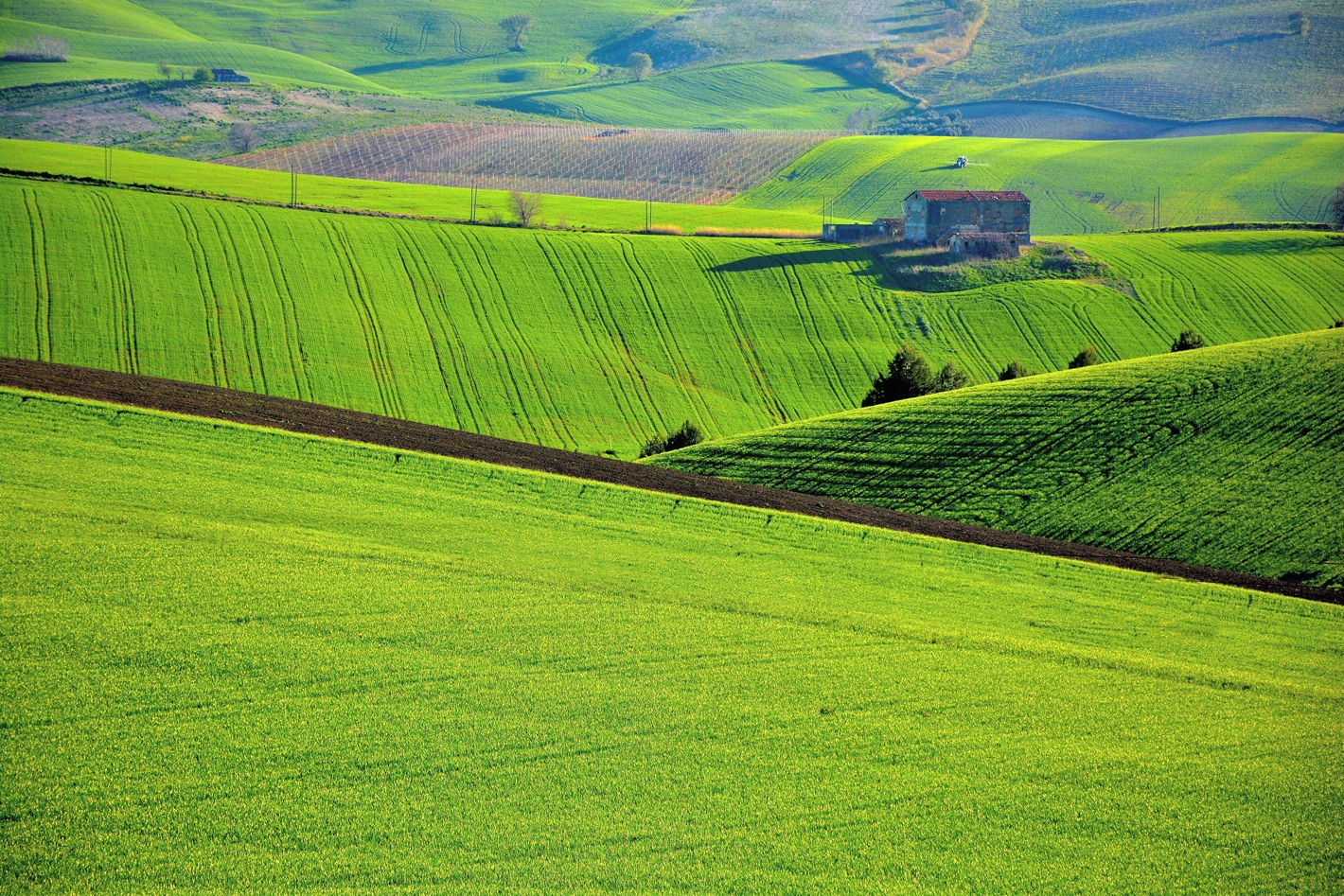 Smooth, Smooth Wrinkled and then and then ...