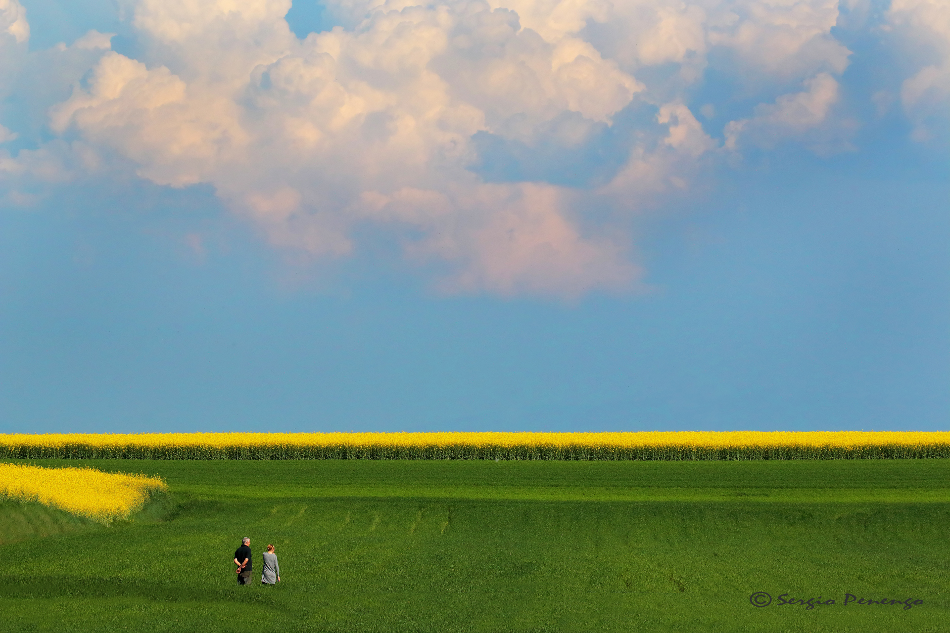 "A walk in CAMPAIGN"