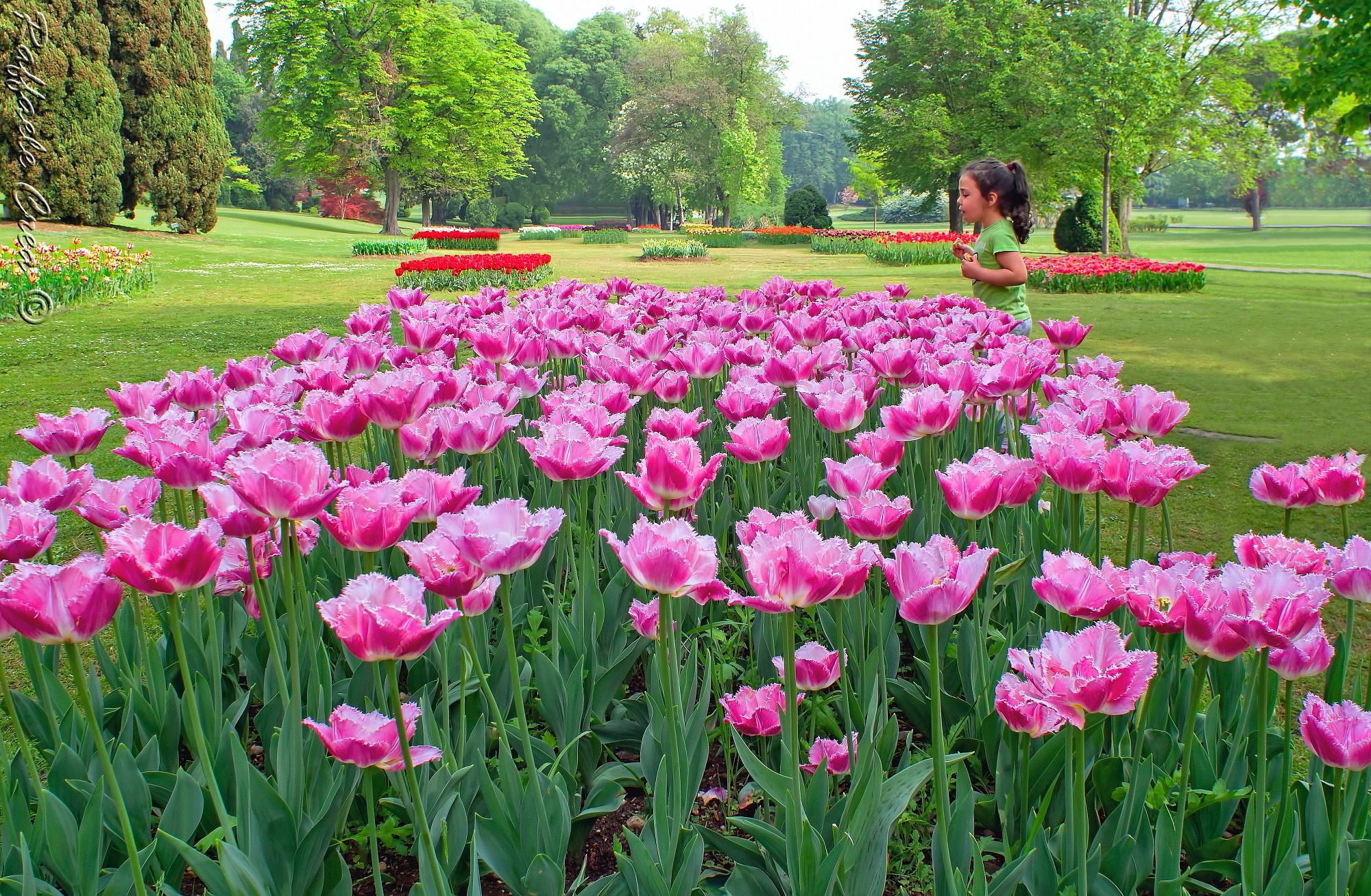 ACCEE Sigurta'.Valeggio sul Mincio
