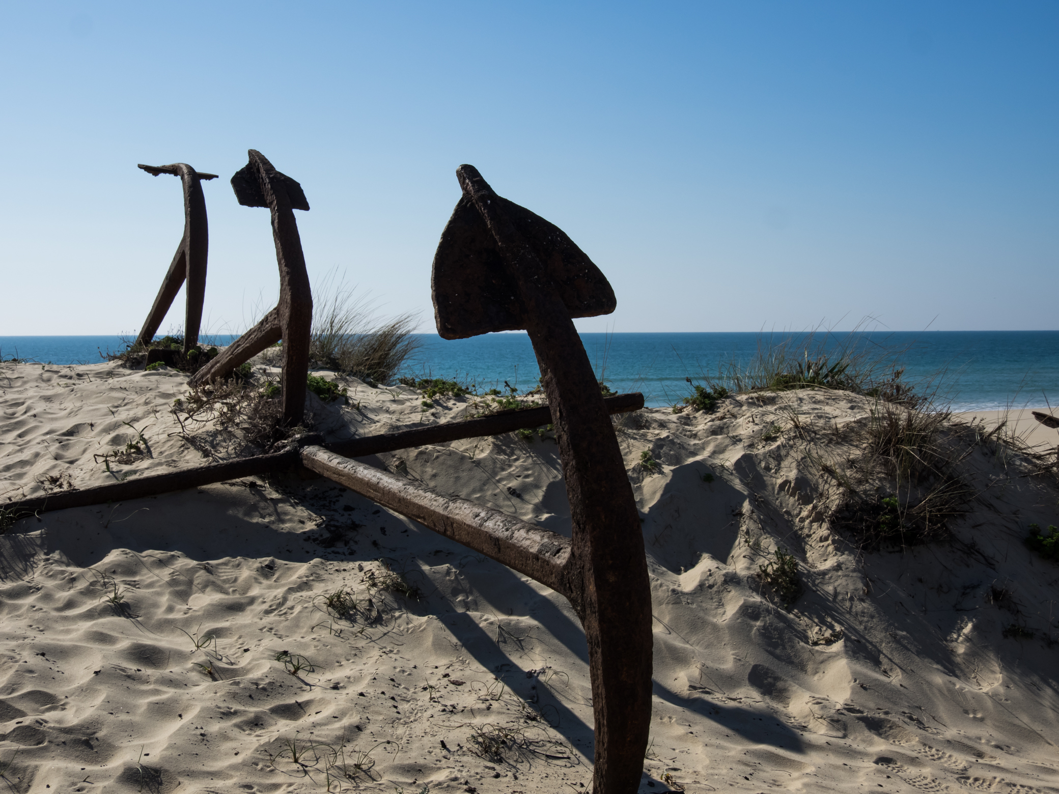 Praia do Barril Tavira PT