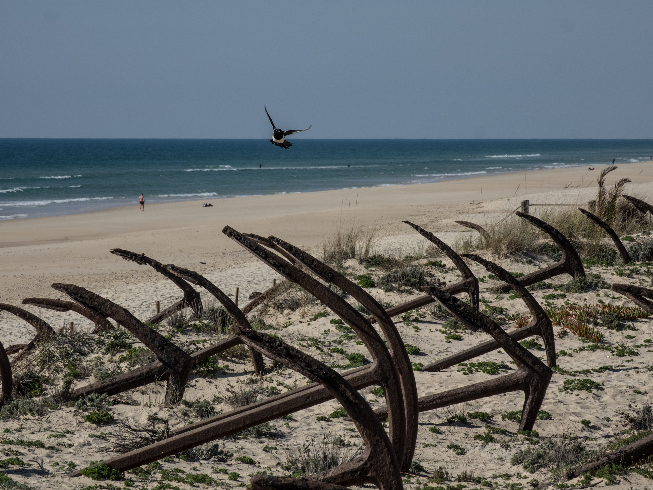 Praia do Barril Tavira PT