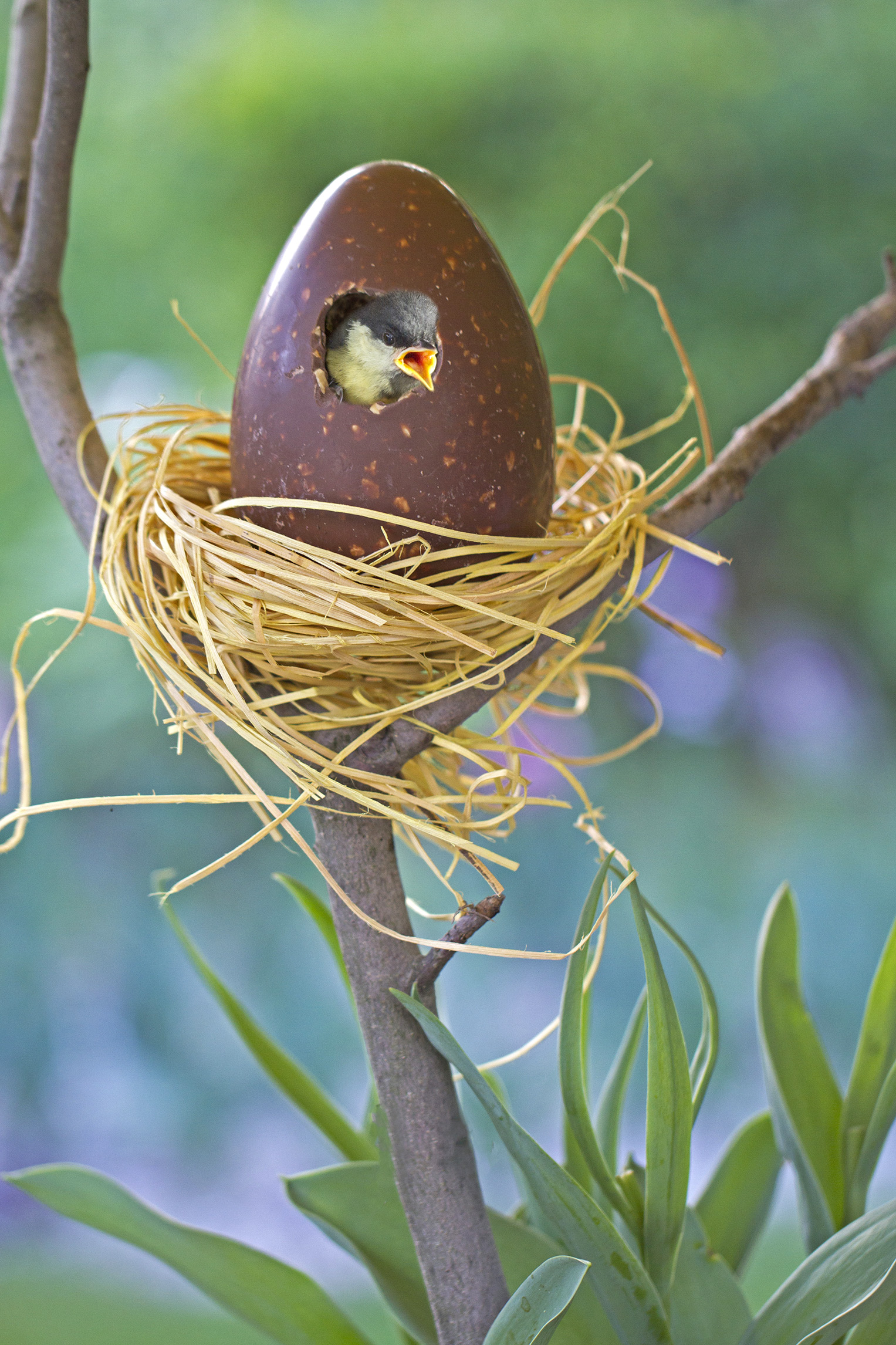 ...auguri di una buona Pasqua