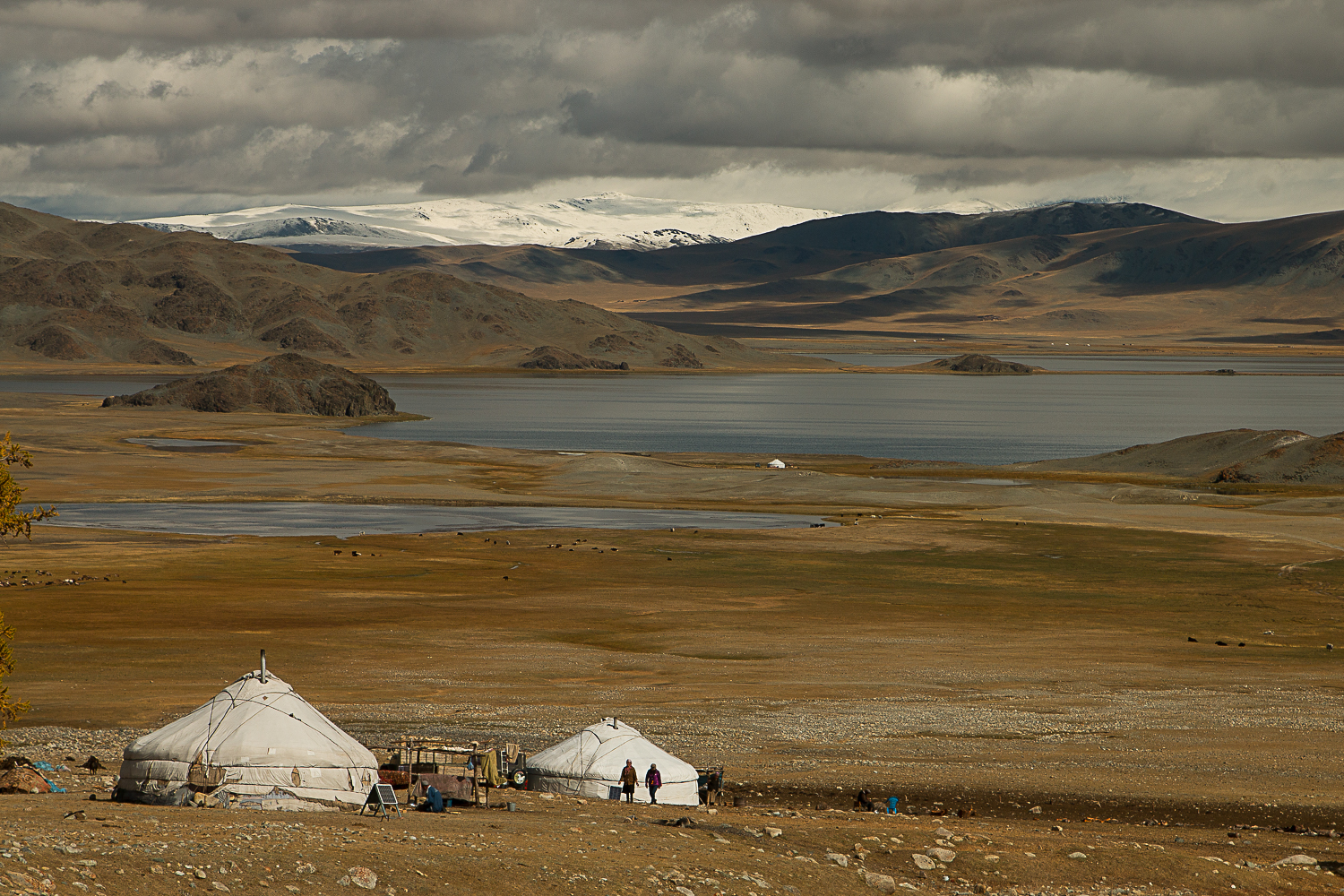 mongolian landscape