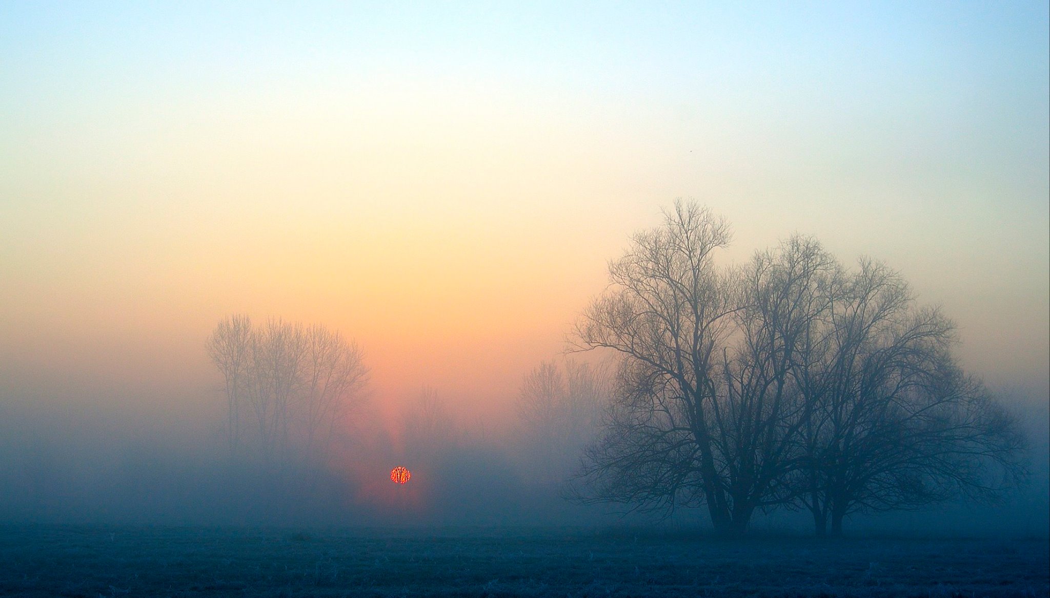Nebbia di fine inverno