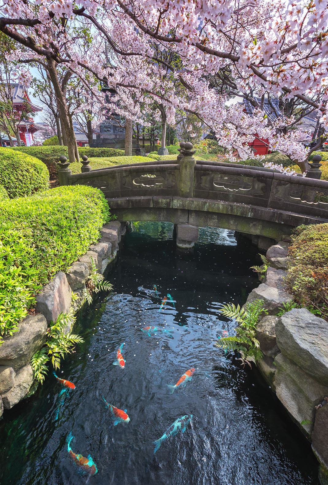 Sensoji gardens