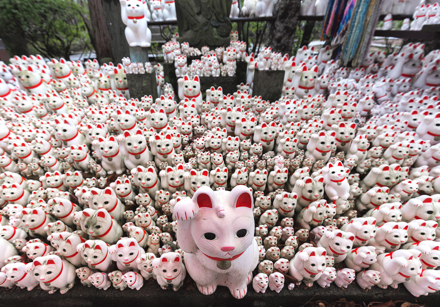 Maneki Neko temple Gotokuji