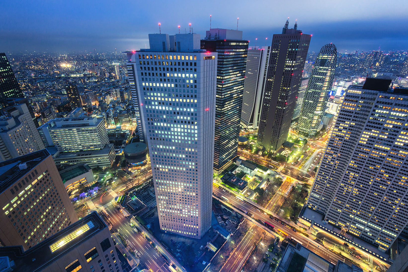 Metropolitan Government Building North Observatory