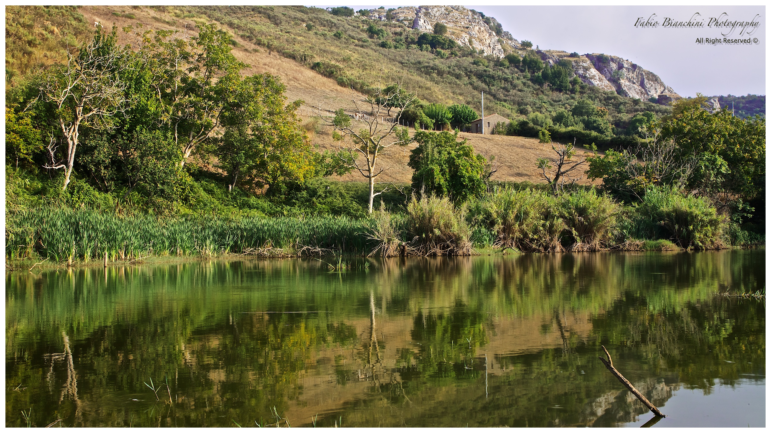 Lake Spartà - Nebrodi - Militello Rosemary