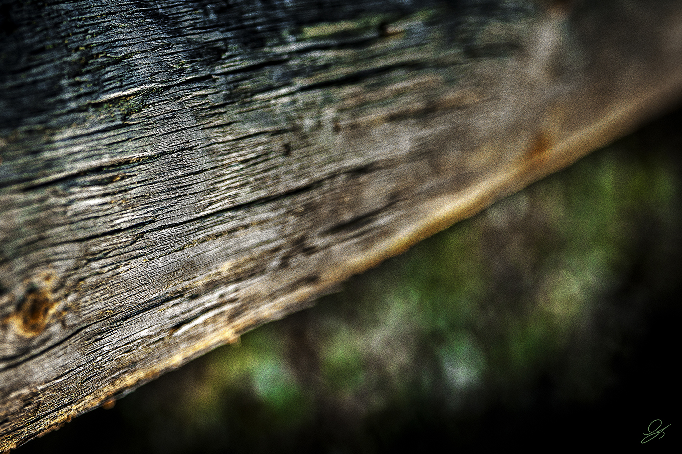 Passato, presente e ...