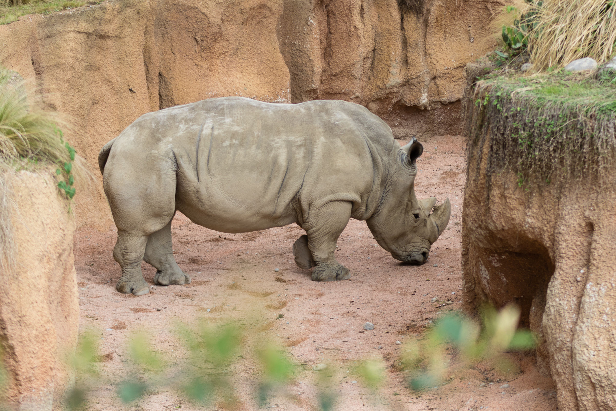 Parco delle Cornelle
