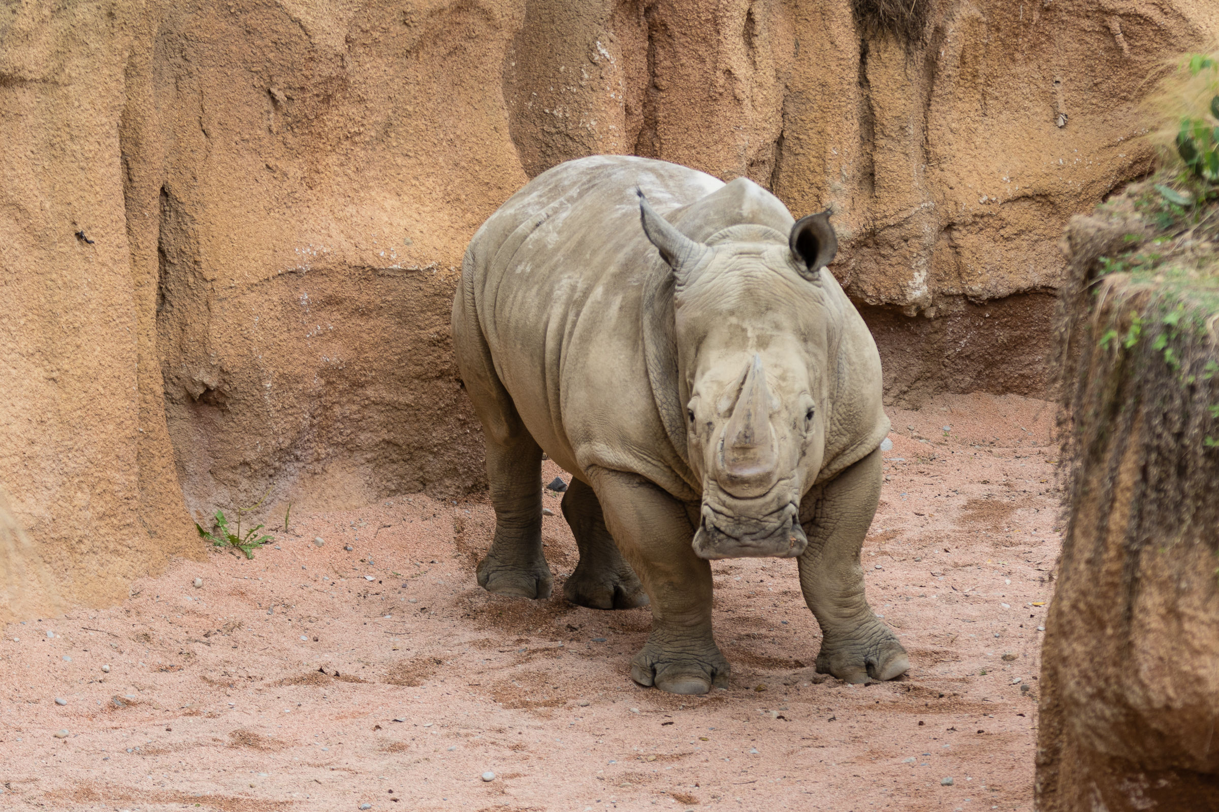 Parco delle Cornelle