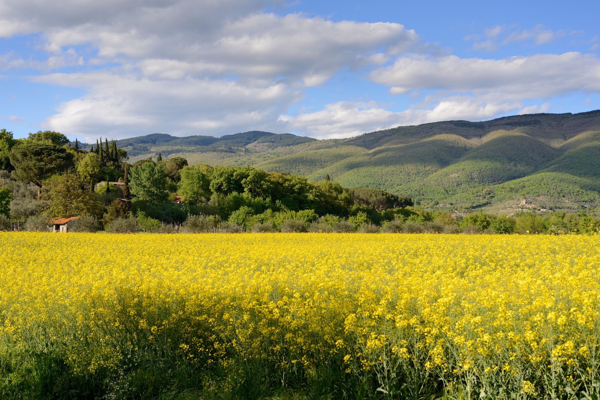 Between Tuscany and Umbria