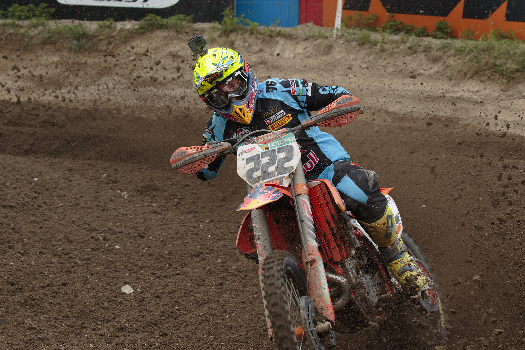 Lo sguardo della tigre