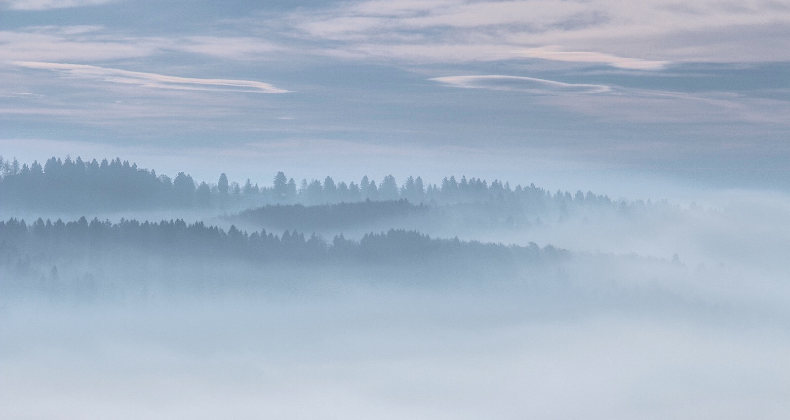 In the magical mists