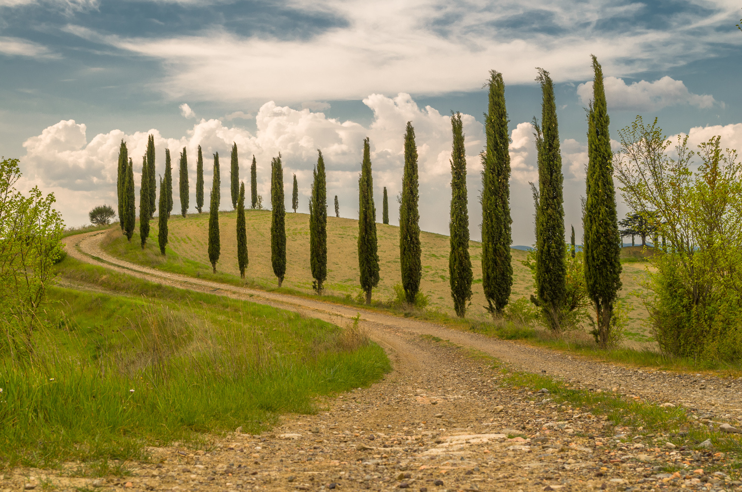 La Via Francigena in Val d'Orcia