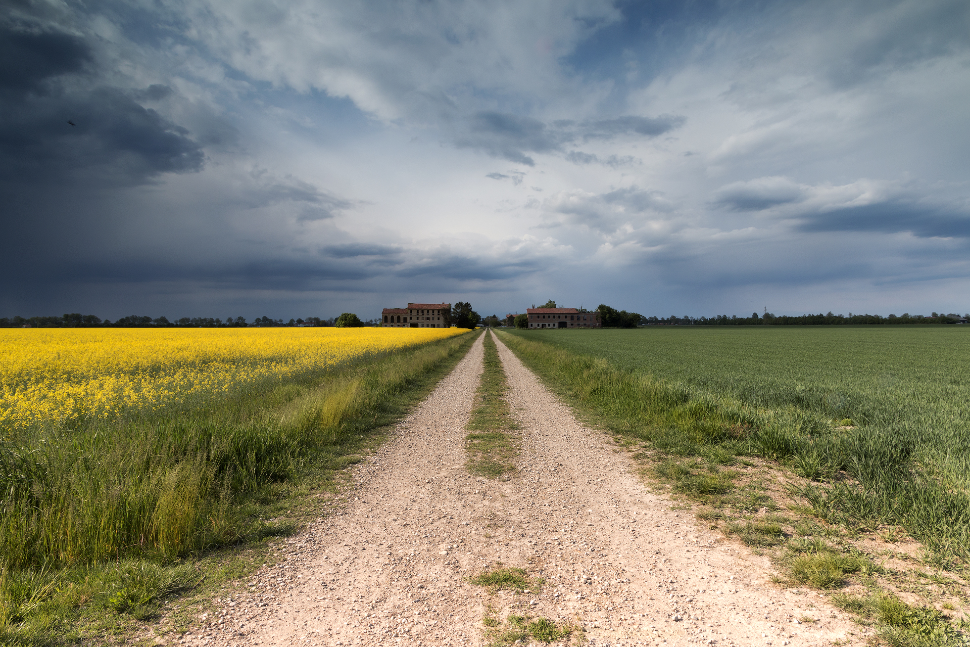 fortemente attratta dai contrasti