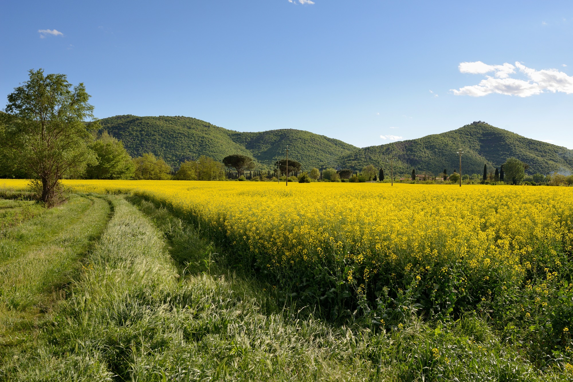 Between Tuscany and Umbria