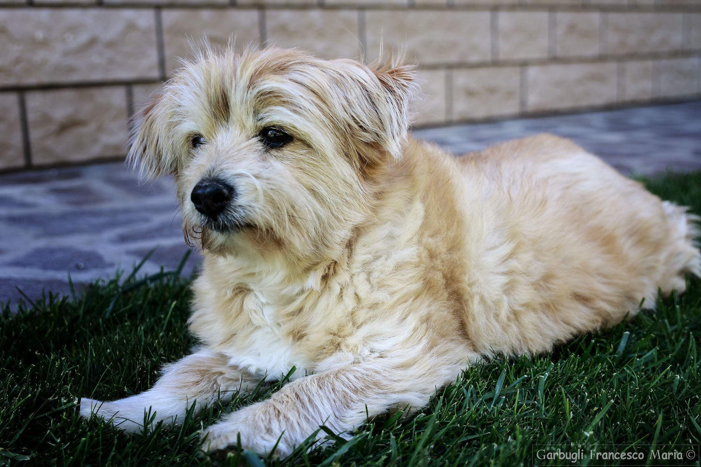 Minù "All right! ... Today's Model"