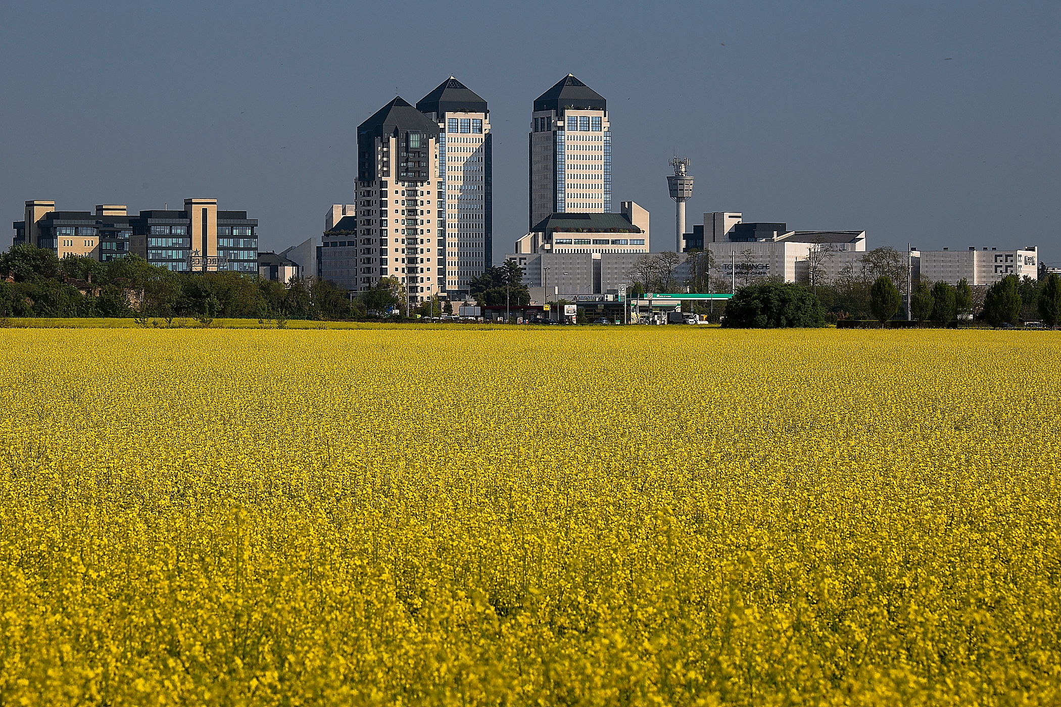 the white towers in the rausciun
