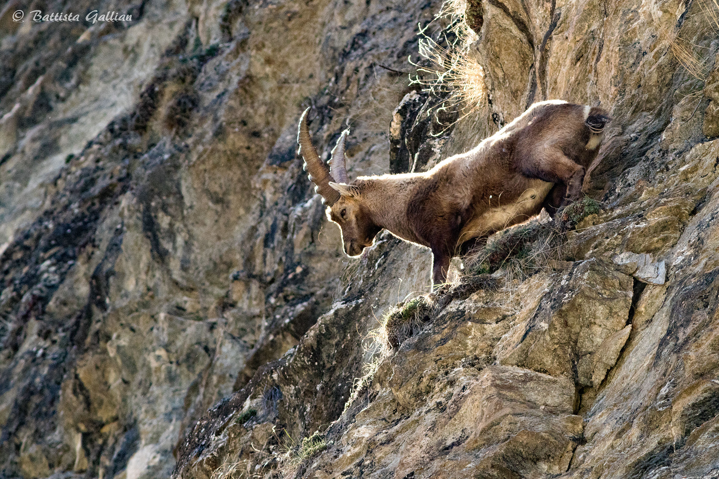 Di corsa sullo strapiombo