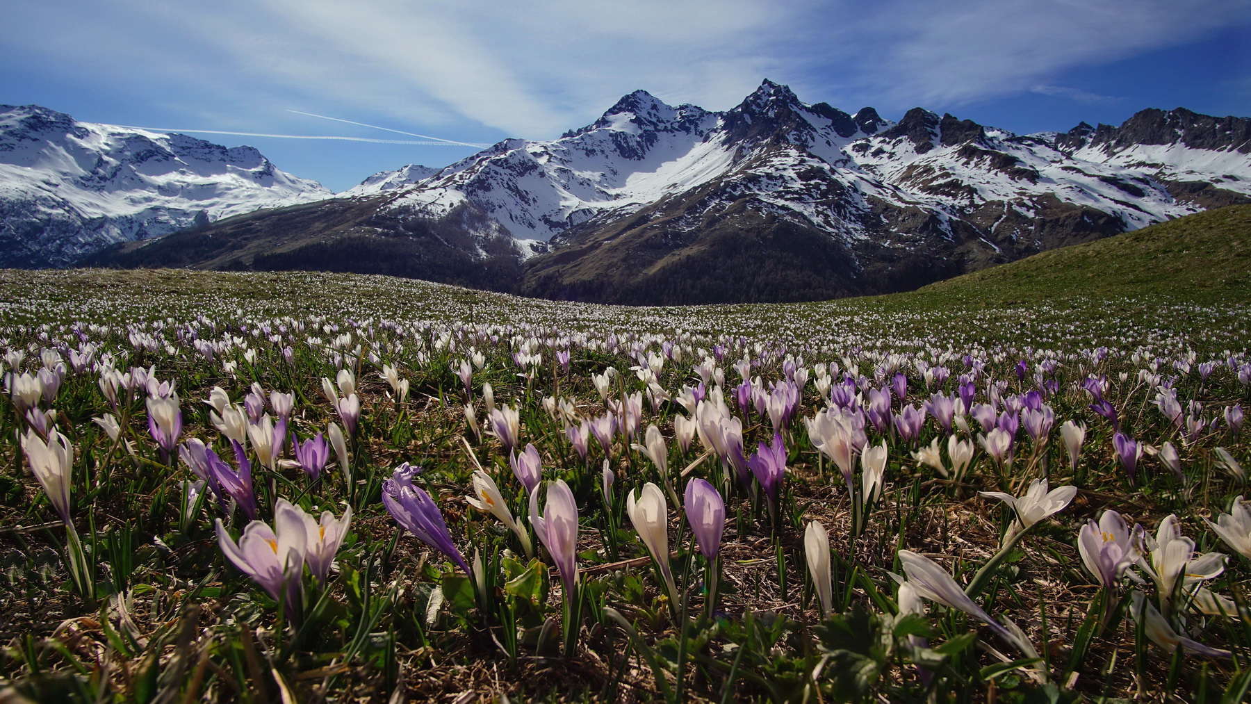 Spring at high altitude