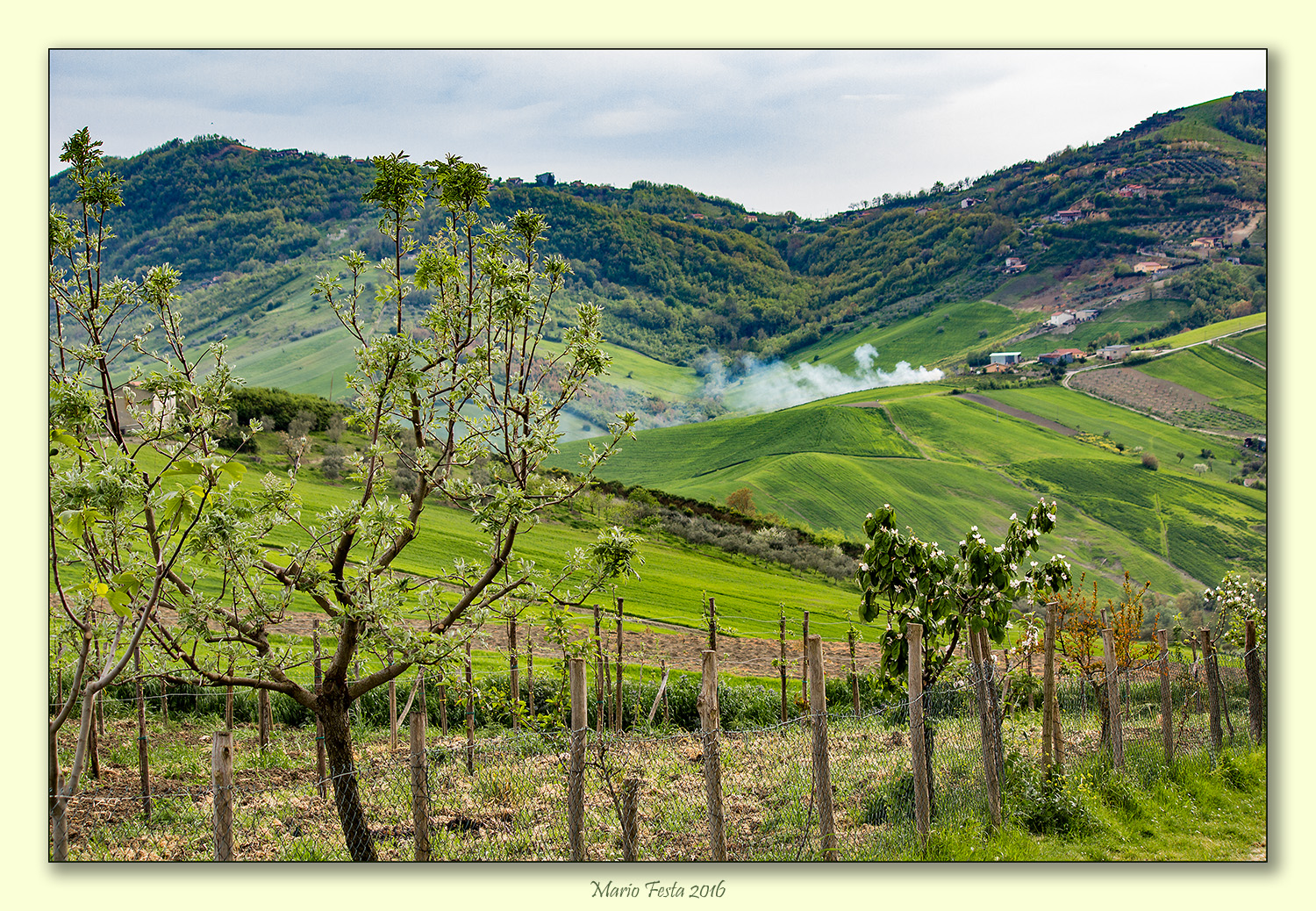 The green hills of Irpinia