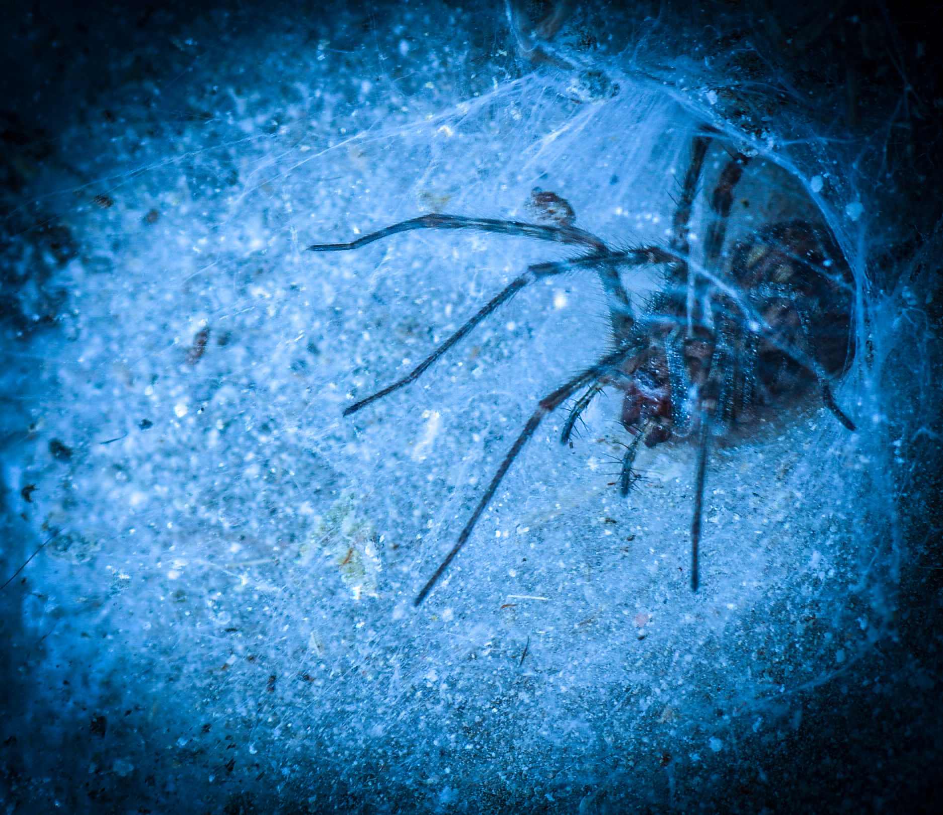 In waiting in the dark