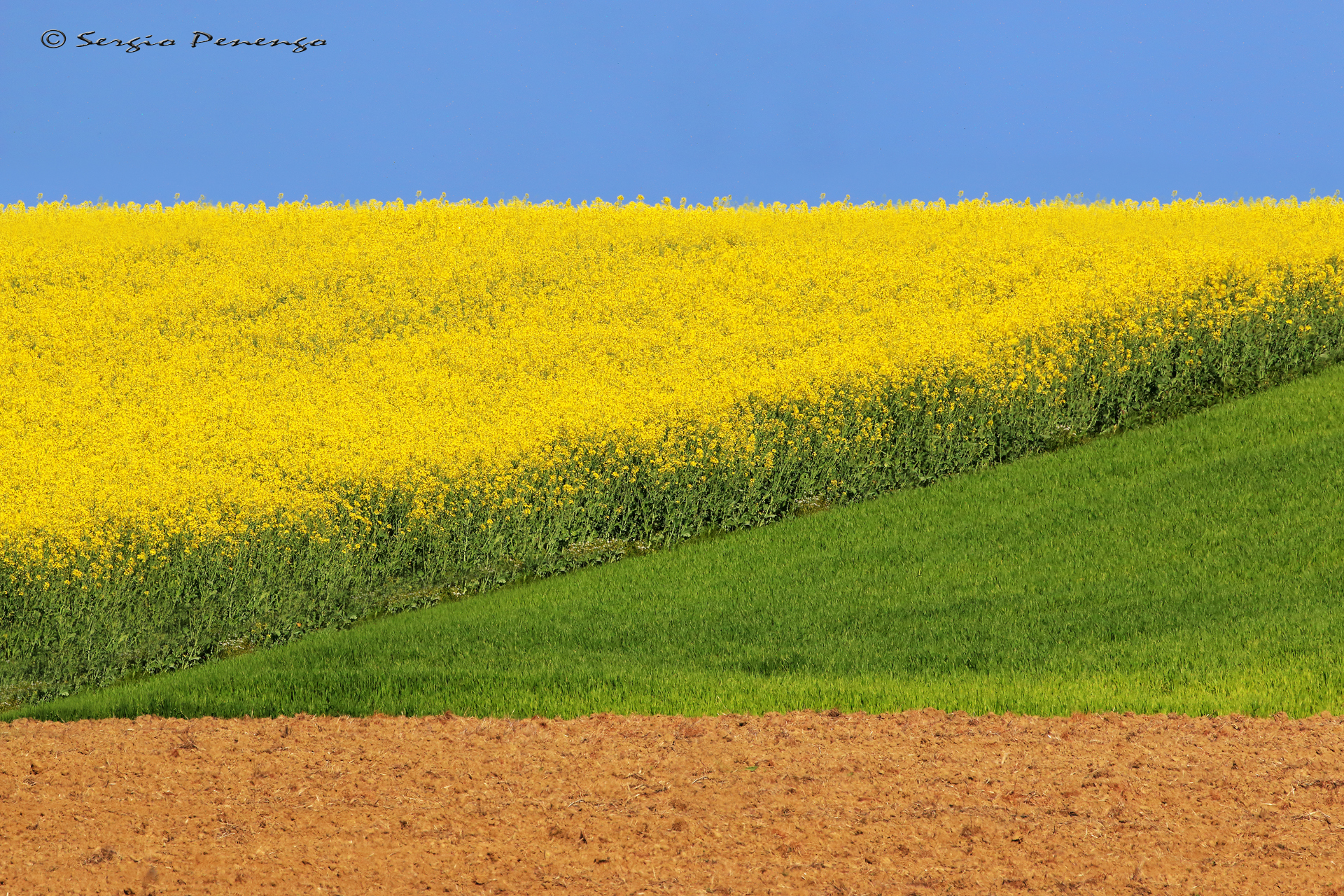 "GEOMETRIE NATURALI"