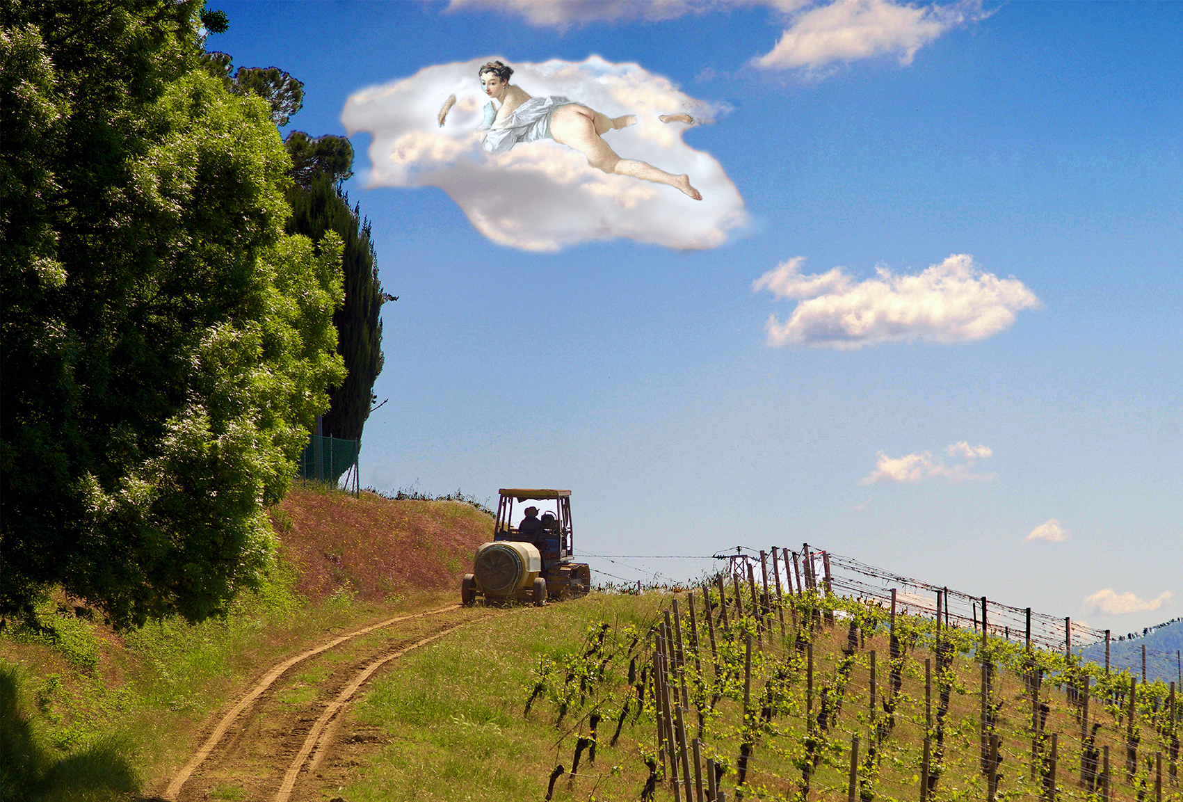 Dreaming with the tractor