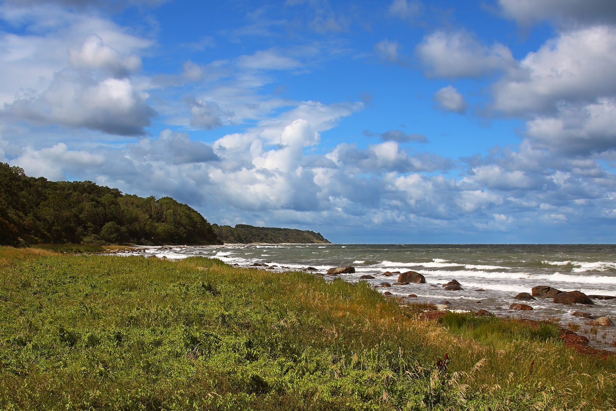 Wild Kap Arcona beach