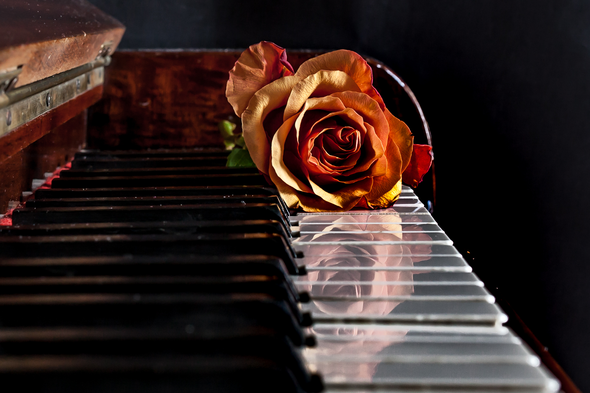 The delicacy of a piano