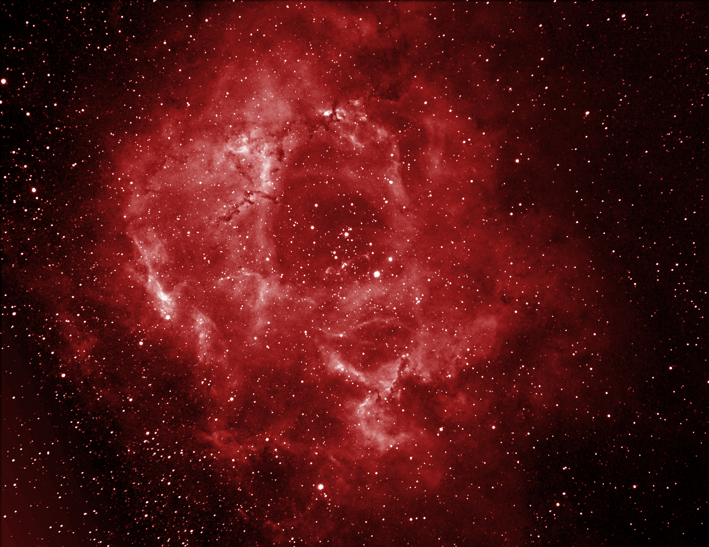 Nebula Riosetta