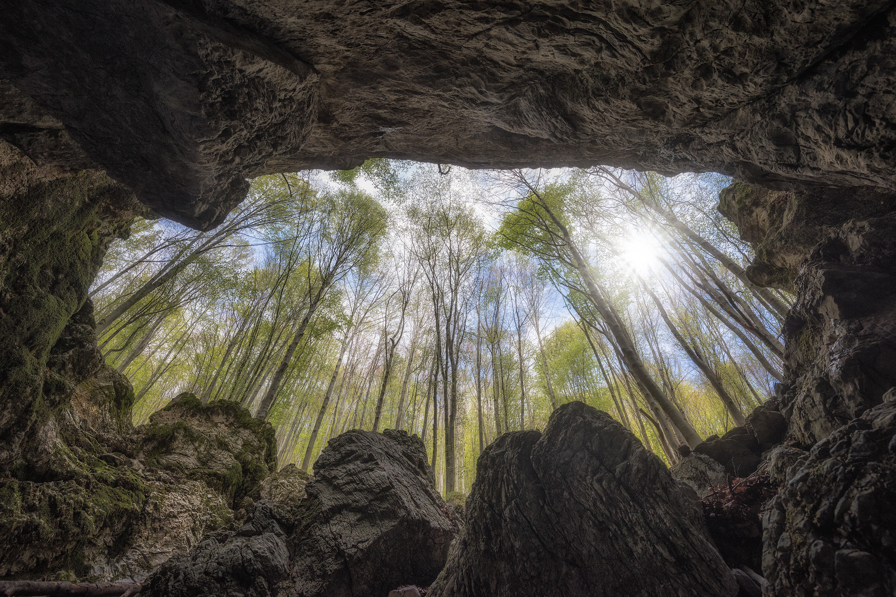 The Tana Omo Selvatico