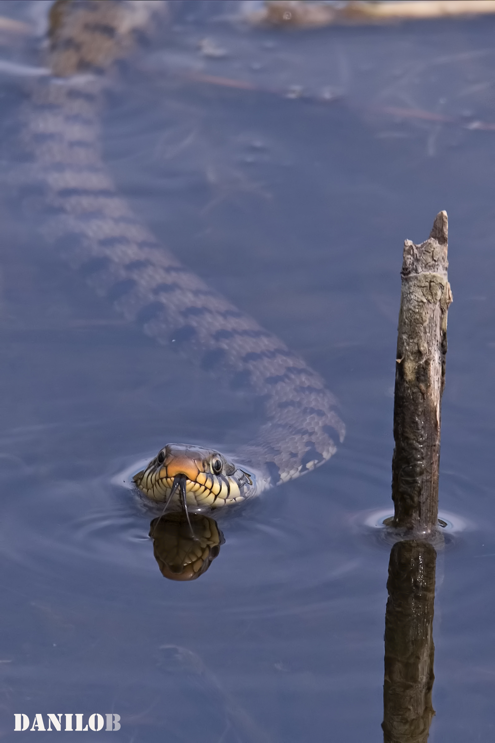 ... waiting for the red ....