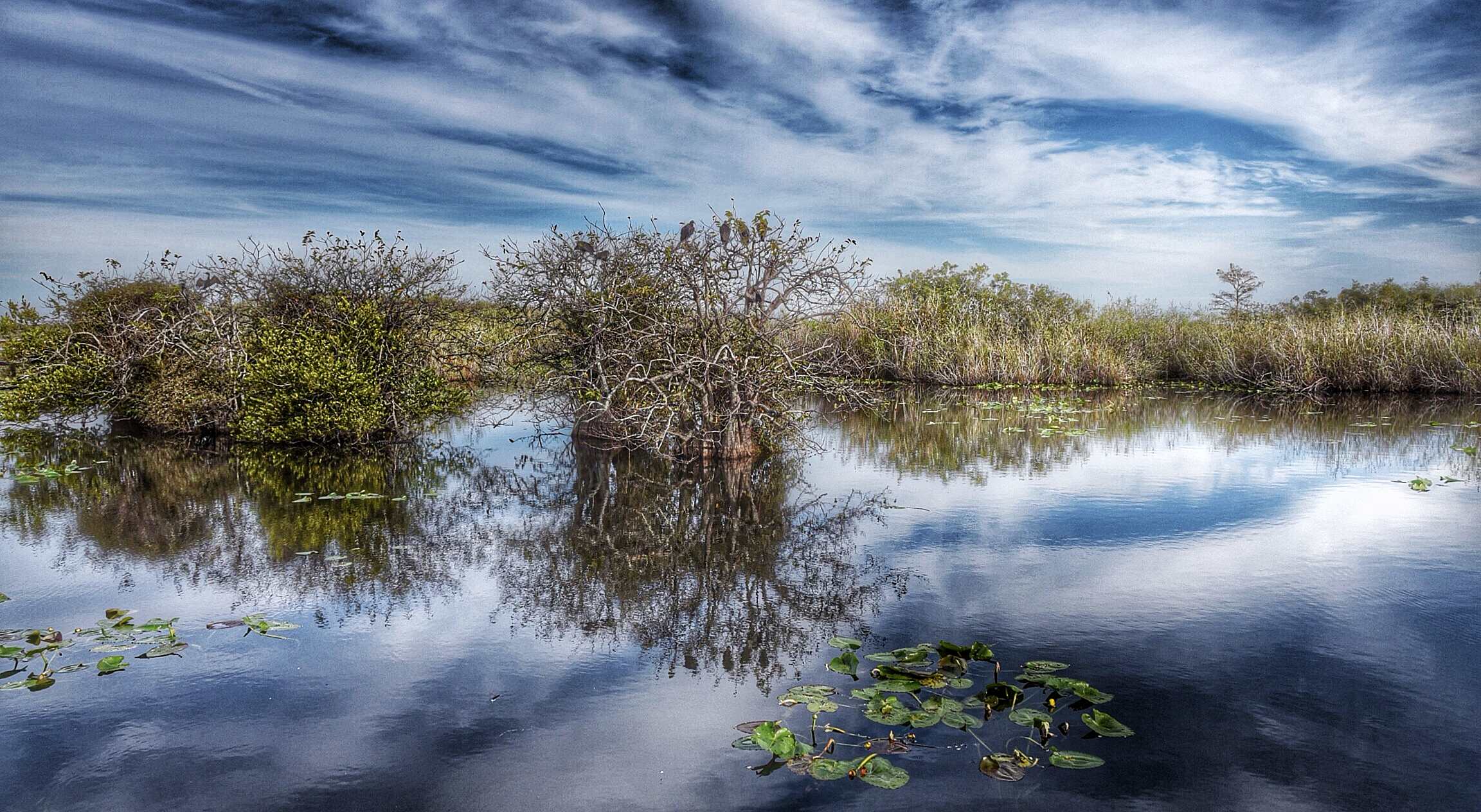 everglades
