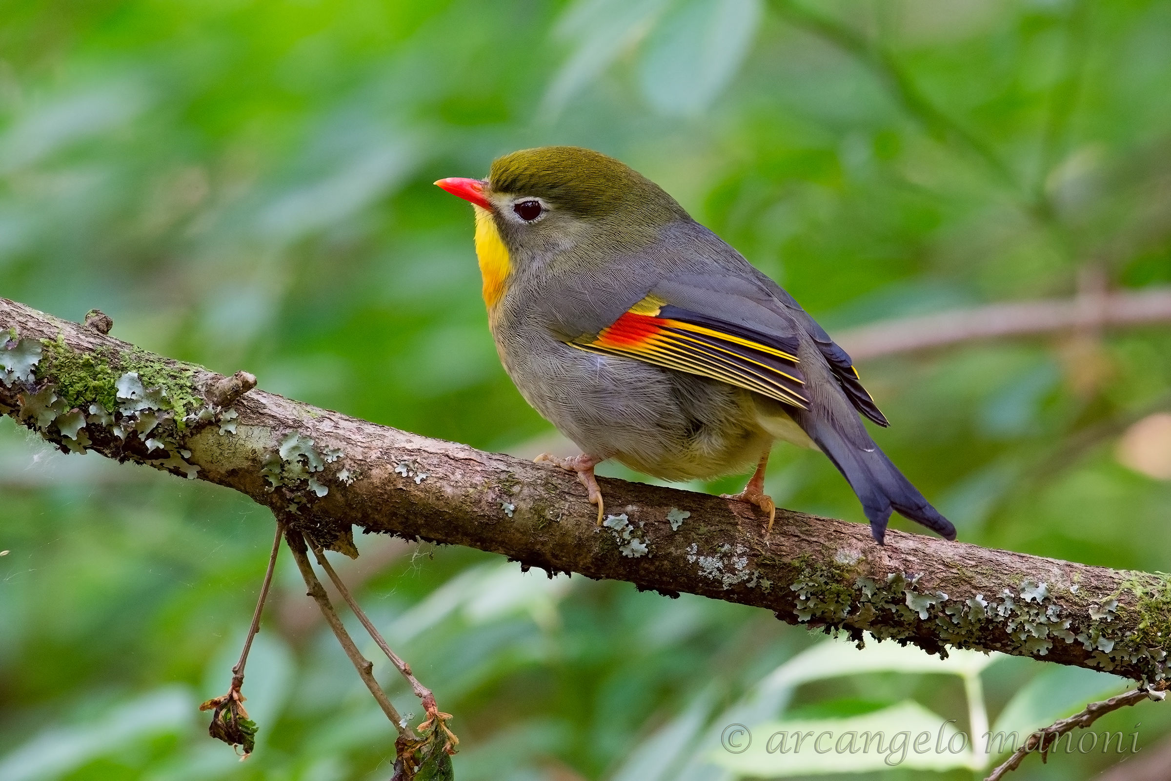 Dimostrazione d'affetto