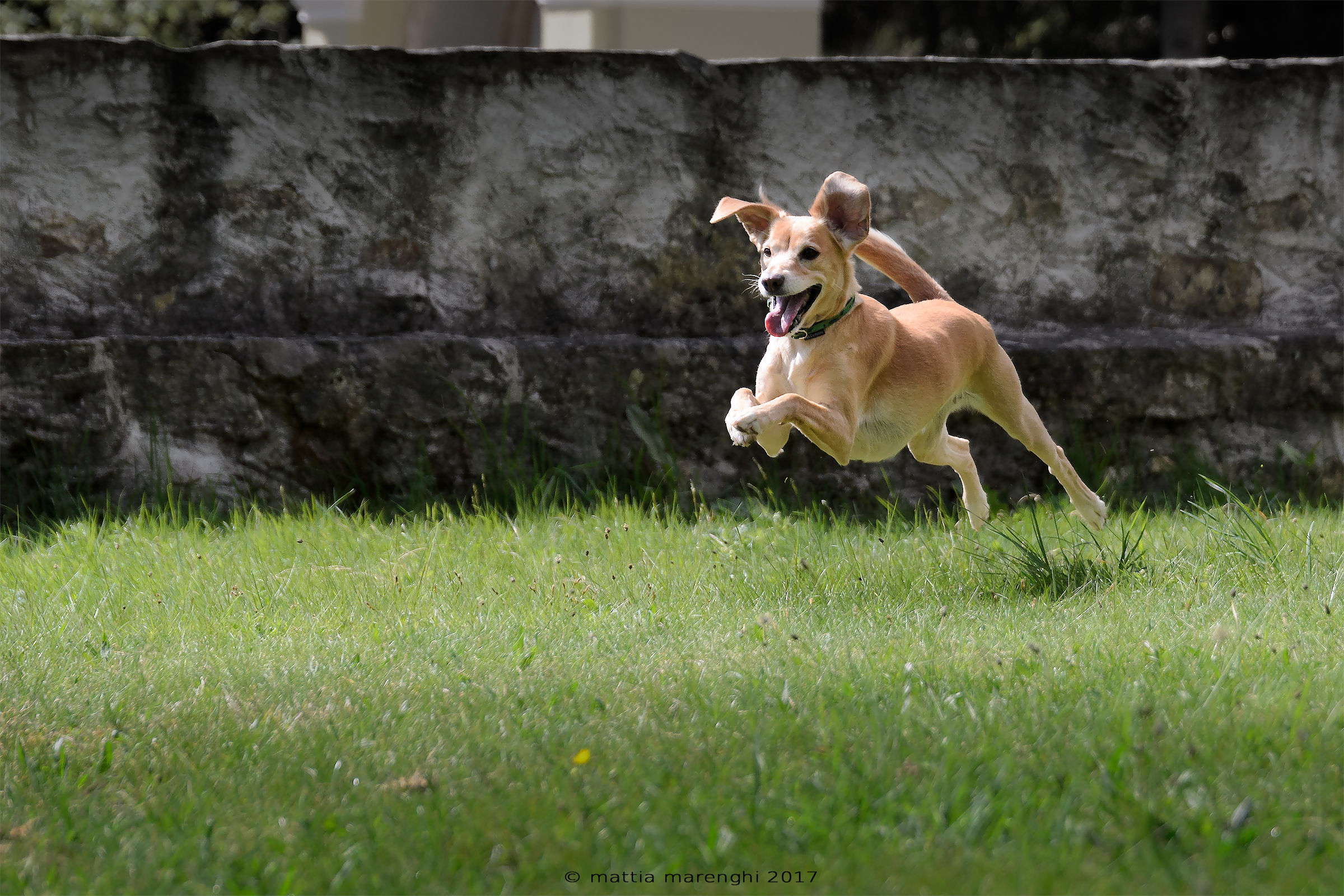 I dive into the green !!!