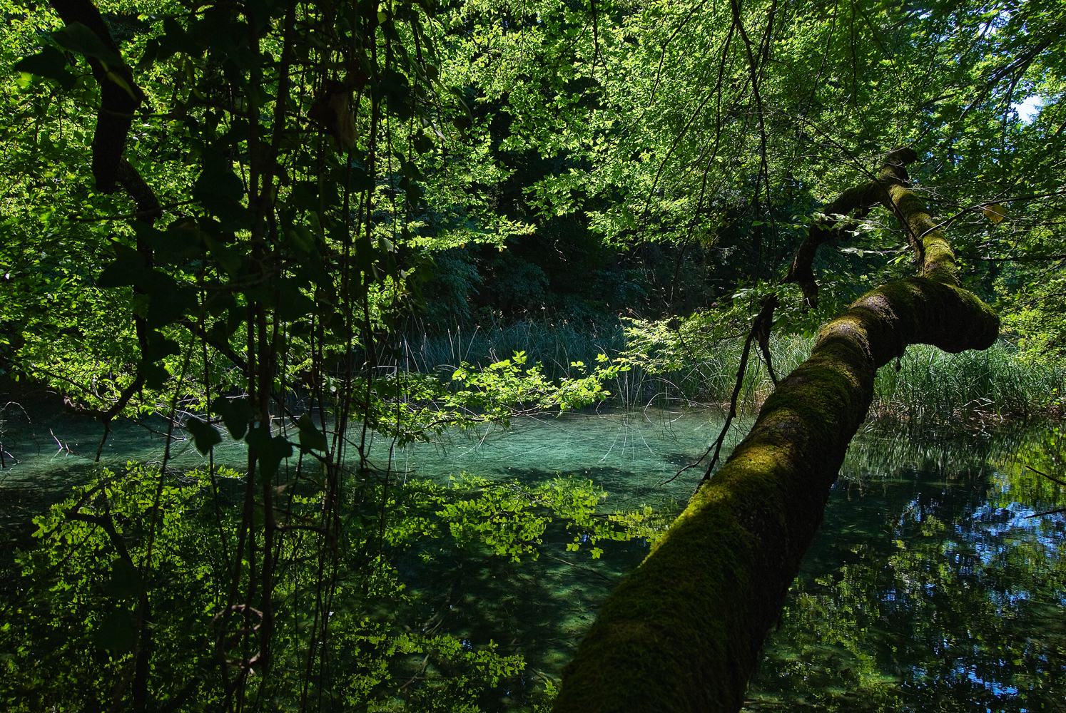 Plitvice Lakes Natural Park 1