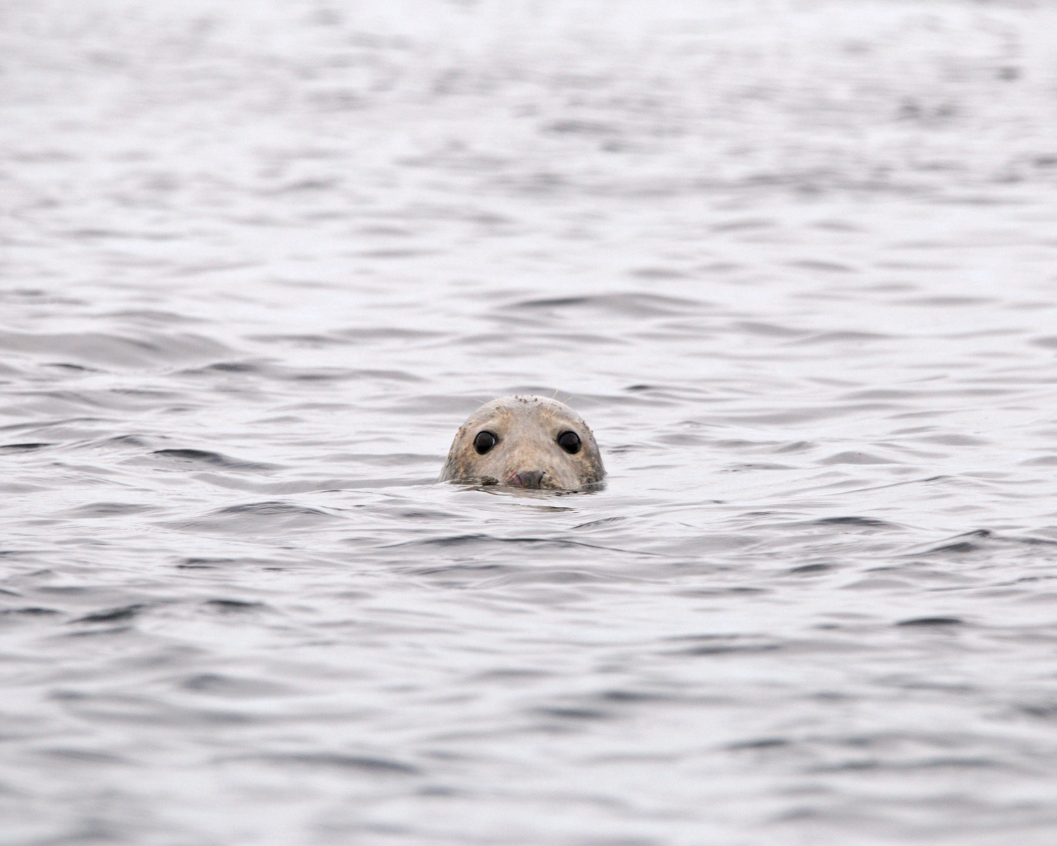 I'm watching you ...